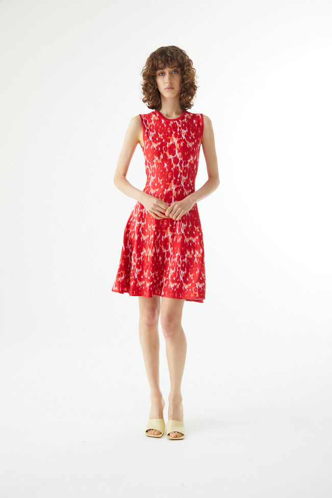 Floral Jacquard Knit Penelope Dress