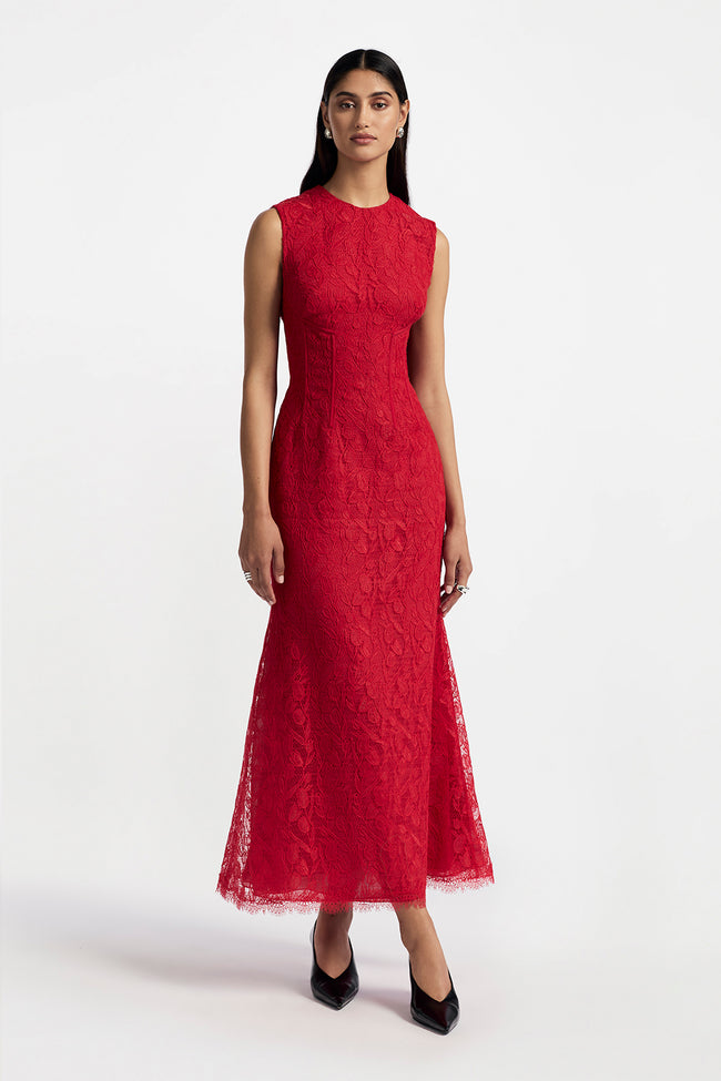 Tulip Lace Seamed A Line Dress