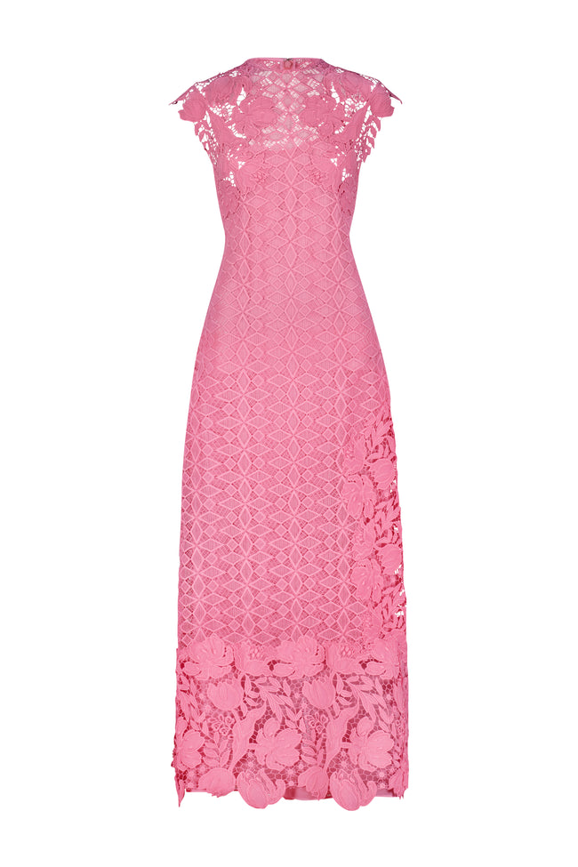 Lace Combo Sleeveless Pencil Dress